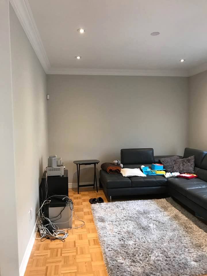 Custom Kitchen Painting